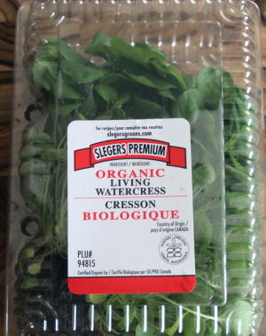 This is the watercress I bought at Wegmans