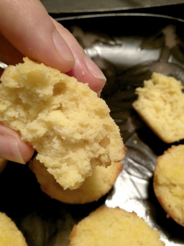 Lemon Coconut Flour Muffins (deliciously grain-free with lots of eggs!)